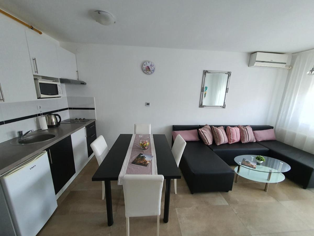 Apartment Vesna Toplice Sveti Martin Sveti Martin Na Muri Dış mekan fotoğraf