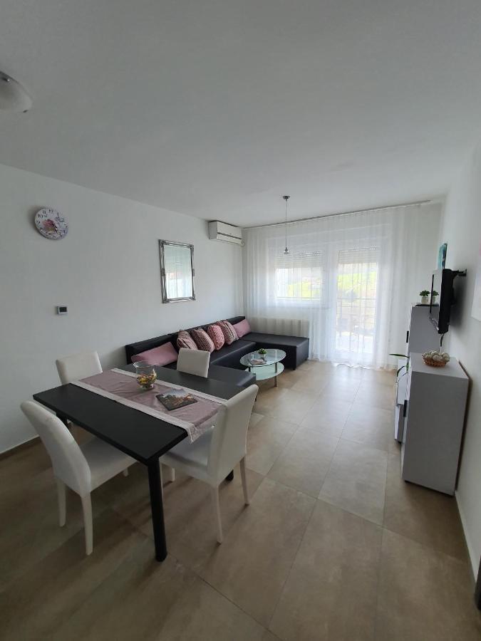 Apartment Vesna Toplice Sveti Martin Sveti Martin Na Muri Dış mekan fotoğraf
