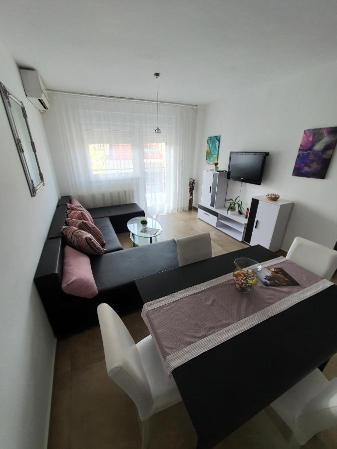 Apartment Vesna Toplice Sveti Martin Sveti Martin Na Muri Dış mekan fotoğraf